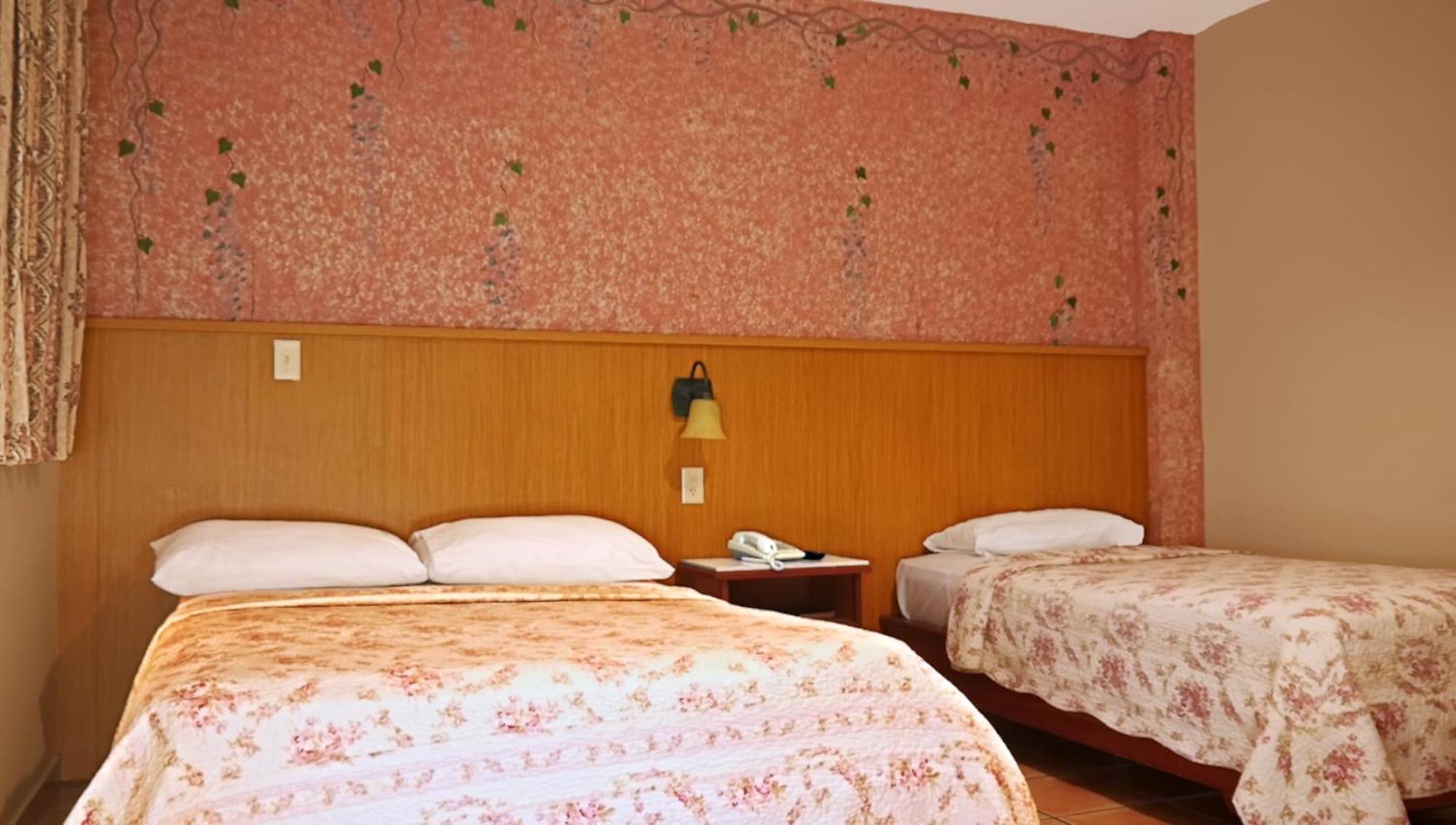 Hotel Castilla ダビッド エクステリア 写真