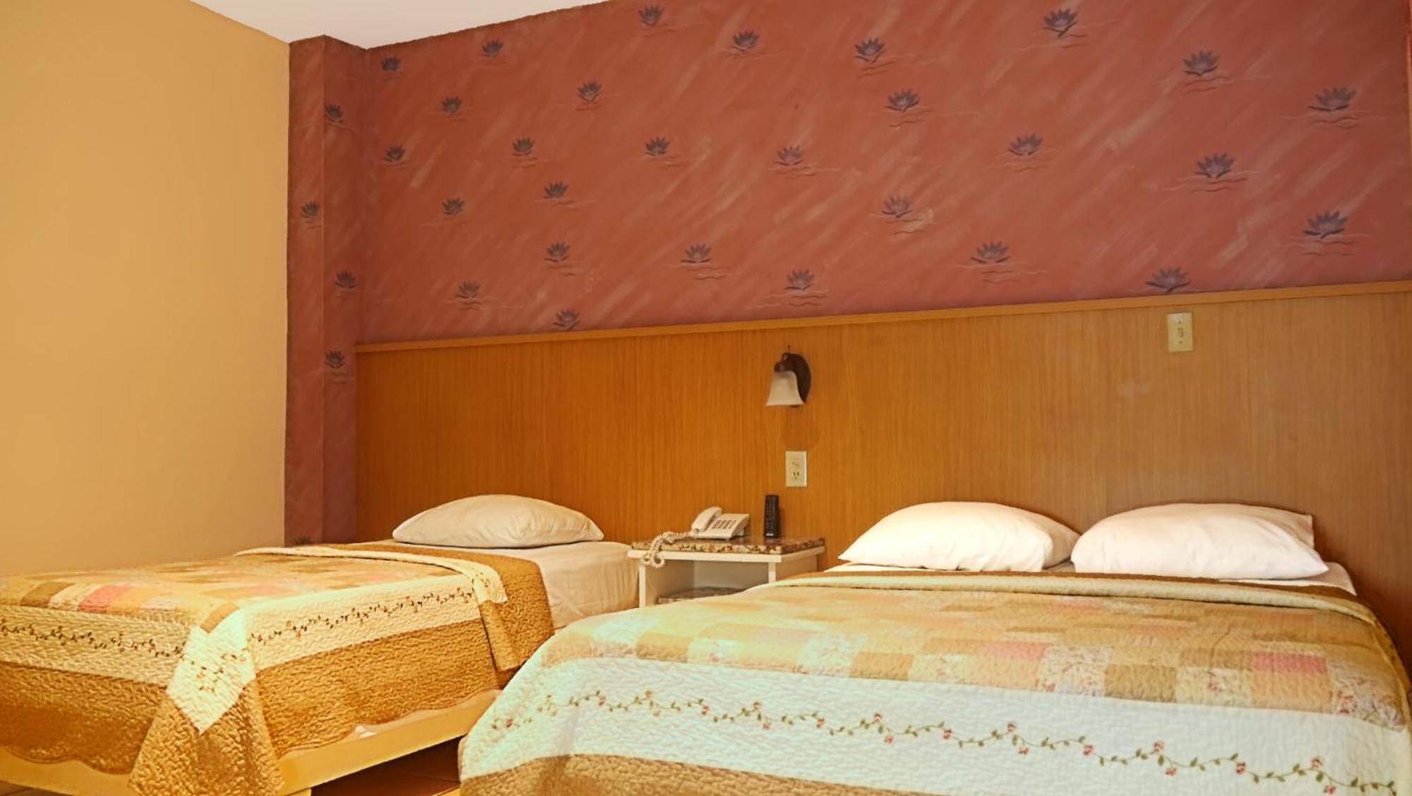 Hotel Castilla ダビッド エクステリア 写真