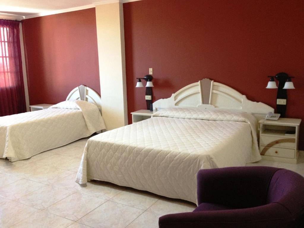 Hotel Castilla ダビッド エクステリア 写真